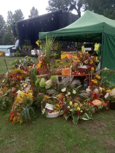 Dożynki powiatowe 2022 - plony zebrane z działek