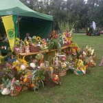 Dożynki powiatowe 2022 - wyeksponowane plony z działek