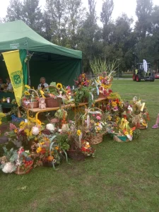 Dożynki powiatowe 2022 - wyeksponowane plony z działek