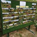 Dzień Działkowca 2022 w Pile - tablica zdjęć ogrodów działkowych