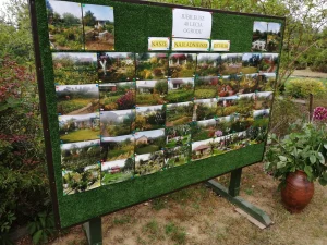 Dzień Działkowca 2022 w Pile - tablica zdjęć ogrodów działkowych