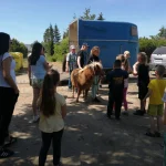 Dzień Dziecka 2023 na ROD w Pile - kucyk