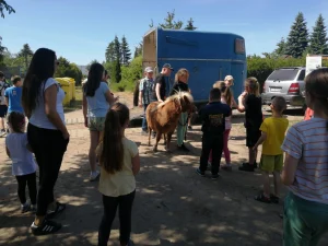 Dzień Dziecka 2023 na ROD w Pile - kucyk