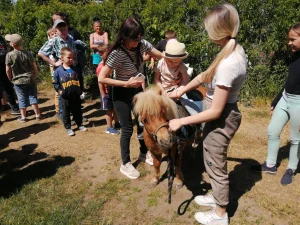 Dzień Dziecka 2023 na ROD im. 40-lecia WP - dziecko na kucyku