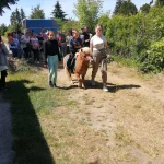 Dzień Dziecka 2023 na ROD im. 40-lecia WP - przejażdżka dziecka na kucyku