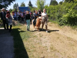 Dzień Dziecka 2023 na ROD im. 40-lecia WP - przejażdżka dziecka na kucyku