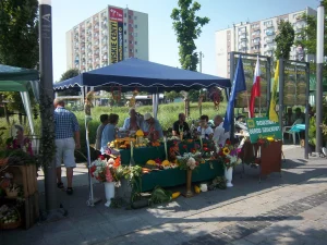 Korso 2018 w Pile - grupa działkowców pod namiotem