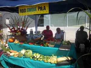 Korso 2018 w Pile - wyeksponowane plony z działek