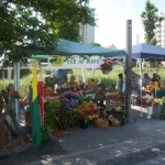 Korso 2018 w Pile - namiot z plonami ROD Na Skarpie