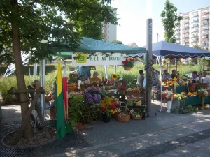 Korso 2018 w Pile - namiot z plonami ROD Na Skarpie