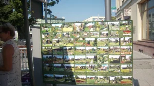 Korso 2018 w Pile - tablica z ogrodami działkowymi