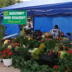 Korso 2019 w Pile - namiot z plonami z działek Wypoczynek