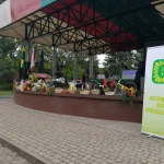 Korso 2019 w Pile - plony zebrane z działek