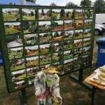 Korso 2019 w Pile - tablica ze zdjęciami ogrodów działkowych
