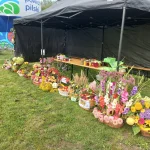 Korso 2023 w Pile - plony zebrane z ogródków działkowych