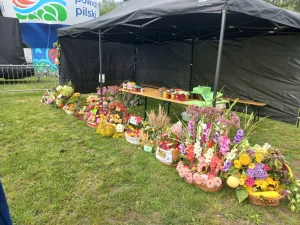 Korso 2023 w Pile - plony zebrane z ogródków działkowych