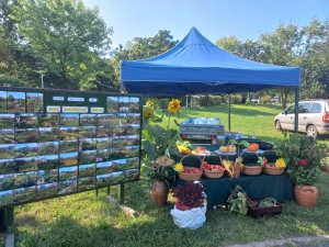 Korso 2023 - plony ustawione przy tablicy ze zdjęciami działek rekreacyjnych