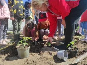 Wizyta Przedszkola - dzieci podczas sadzenia roślin