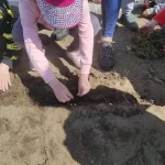 Wizyta Przedszkola - dziewczynka wrzuca nasiona do ziemi