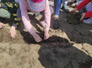 Wizyta Przedszkola - dziewczynka wrzuca nasiona do ziemi