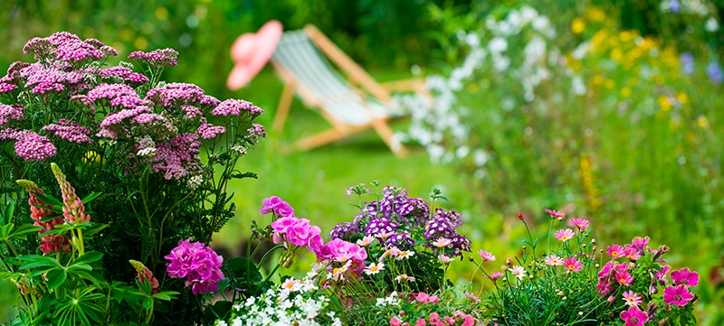 ROD im. 40-Lecia WP w Pile - widok na leżak w otoczeniu kwiatów na ogrodzie działkowym