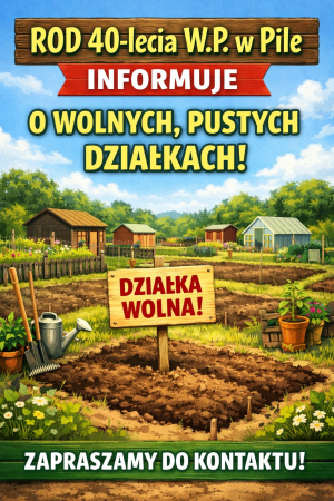 Wolne Działki ROD!